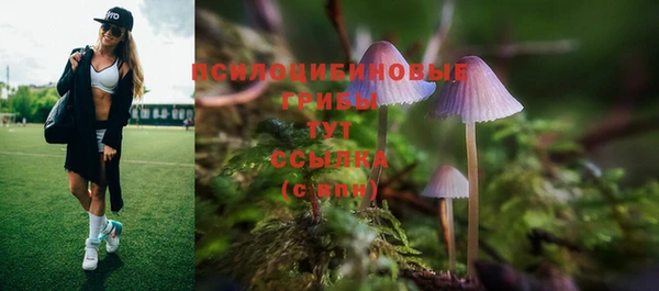 крисы Алзамай