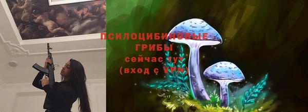 Альфа ПВП Арсеньев