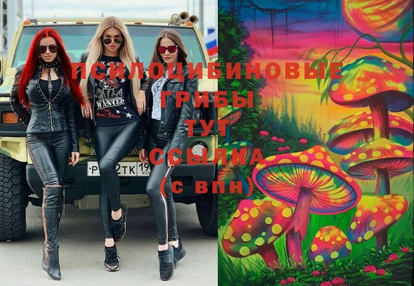 первитин Алексин