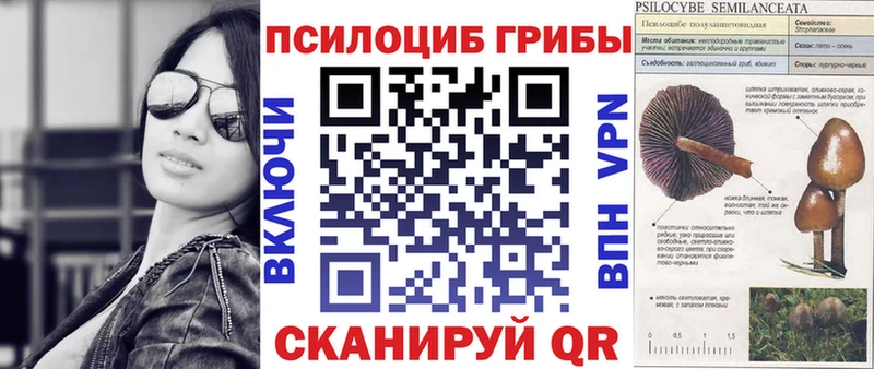 Псилоцибиновые грибы прущие грибы  купить  сайты  Рузаевка 